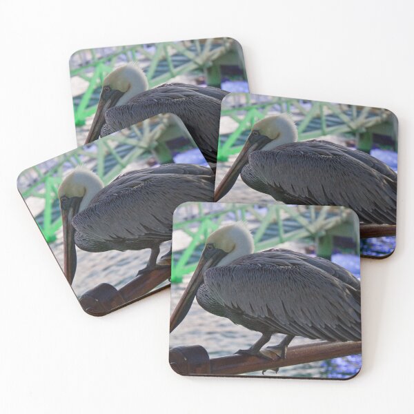 Item preview, Ecuador. Galapagos Islands. Pelican on the town pier. designed and sold by vadim19.