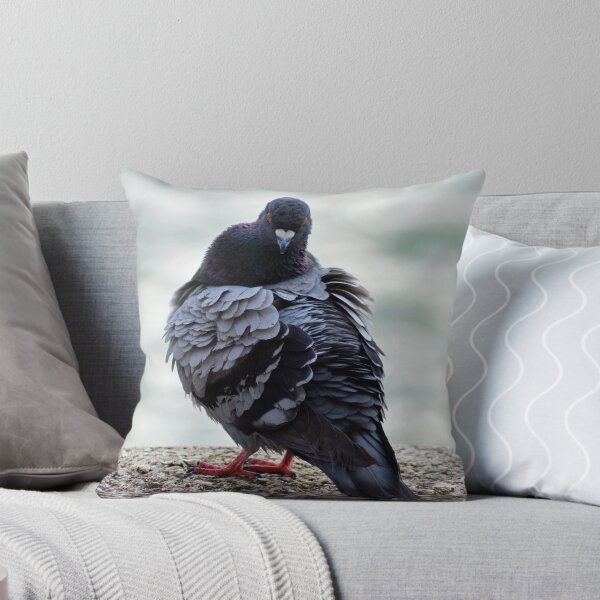 Item preview, Pigeon at the marina designed and sold by Lauren Shawyer.