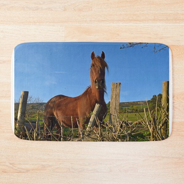 Item preview, Horse Sense. designed and sold by Michael Haslam.