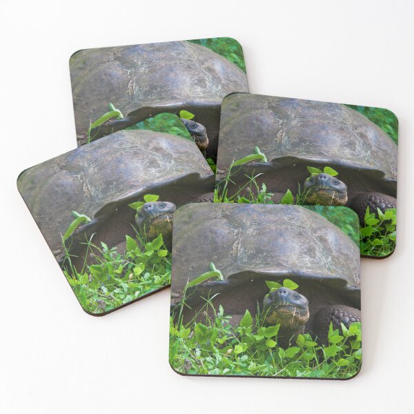 Item preview, Ecuador. Galapagos Islands. Santa Cruz Island. Giant Tortoise. designed and sold by vadim19.