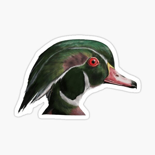 Duck Hunting,Flag,Quack Head,Duck Life,Hunter,Waterfowl,sticker,vinyl decal