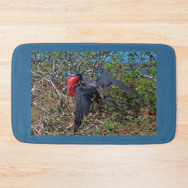 Item preview, Ecuador. Galapagos Islands. Frigatebird. designed and sold by vadim19.