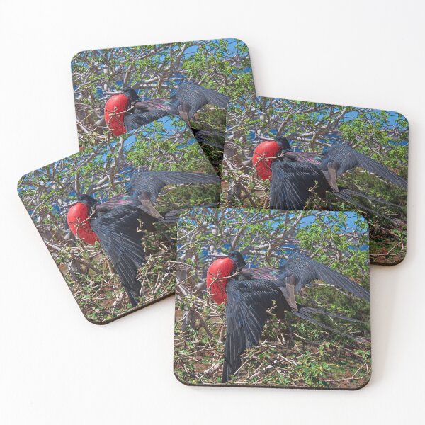 Item preview, Ecuador. Galapagos Islands. Frigatebird. designed and sold by vadim19.