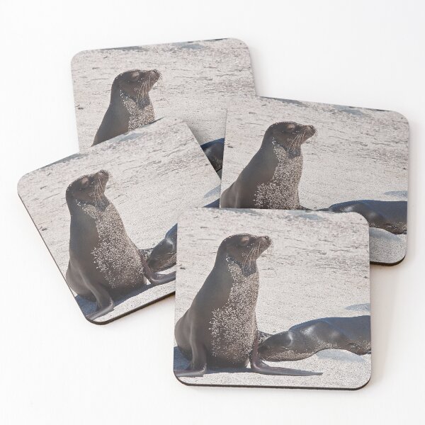 Item preview, Ecuador. Galapagos Islands. Seals - mother & baby. designed and sold by vadim19.