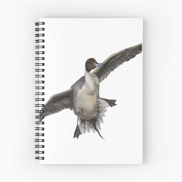 Item preview, Drake PinTail designed and sold by mfraysher.