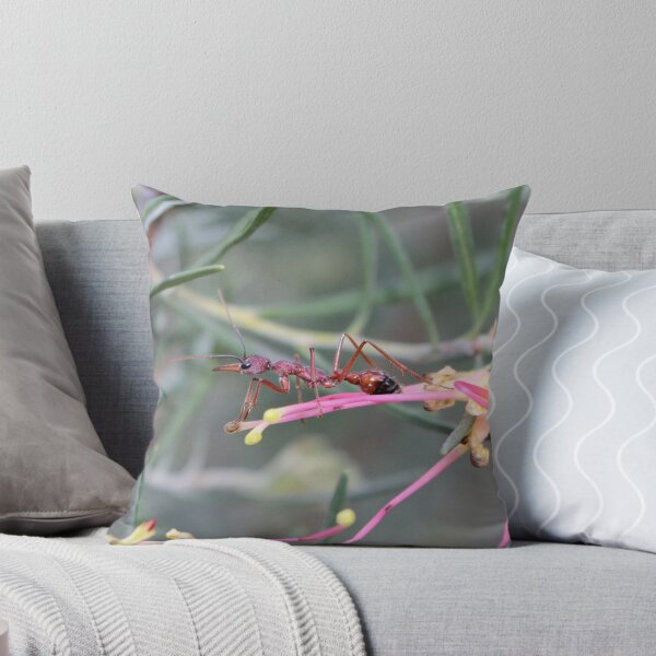 Item preview, Bull ant on grevillea, Australia designed and sold by NanaRusty.