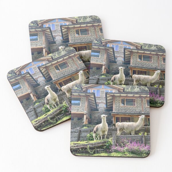 Item preview, Ecuador - Quito - alpacas at Hacienda Rumiloma designed and sold by renprovo.