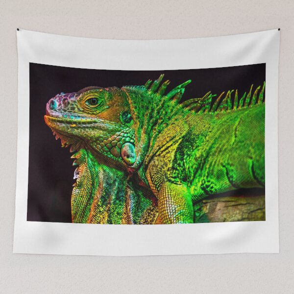 Item preview, Chameleon designed and sold by Kana Photography.