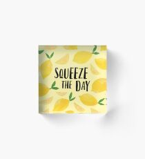 Squeeze the Day Acrylic Block
