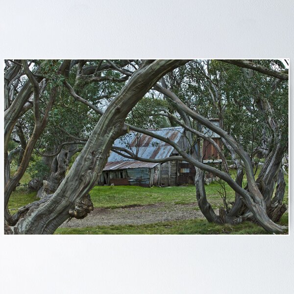 Item preview, The Wallace Hut NE Victoria Australia designed and sold by David Woolcock.