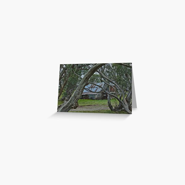 Item preview, The Wallace Hut NE Victoria Australia designed and sold by David Woolcock.