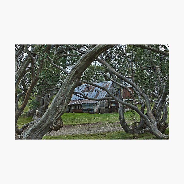 The Wallace Hut NE Victoria Australia Photographic Print