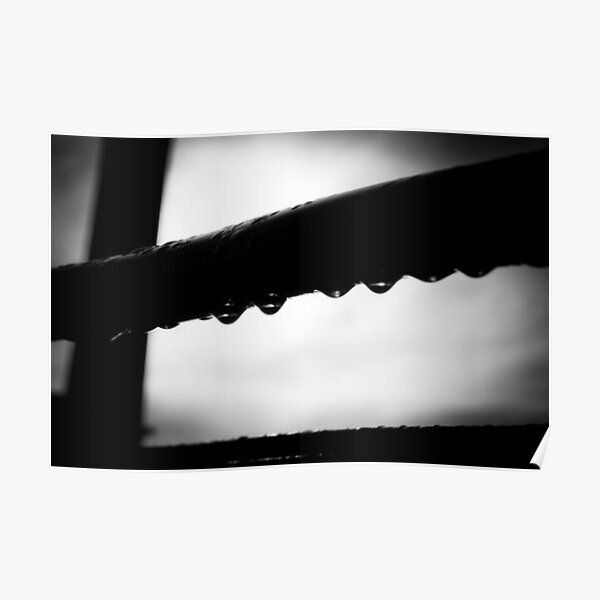 Water Droplets B&W Poster