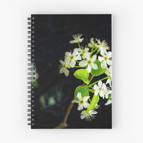 Item preview, Pear Blossoms in the Dark designed and sold by Kay Brewer.