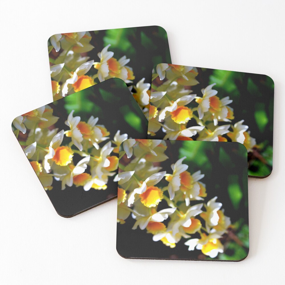 Item preview, Coasters (Set of 4) designed and sold by ginnymac.