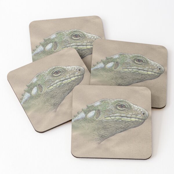 Item preview, Fiji Island Banded Iguana designed and sold by SnakeArtist.