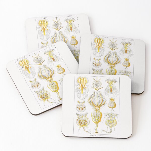Item preview, Plate 32. Rotifers or ‘wheel animals'. designed and sold by Squirrox.