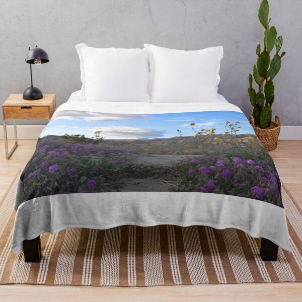 Item preview, Parque Estatal del Desierto Anza-Borrego, California designed and sold by Mike Kunes.