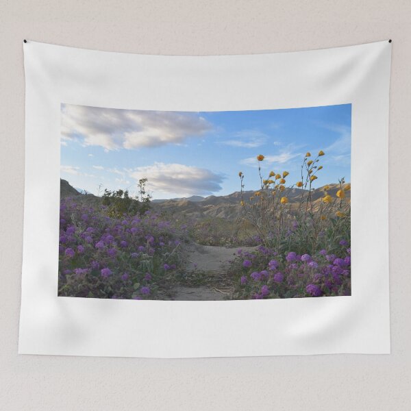 Item preview, Parque Estatal del Desierto Anza-Borrego, California designed and sold by Mike Kunes.