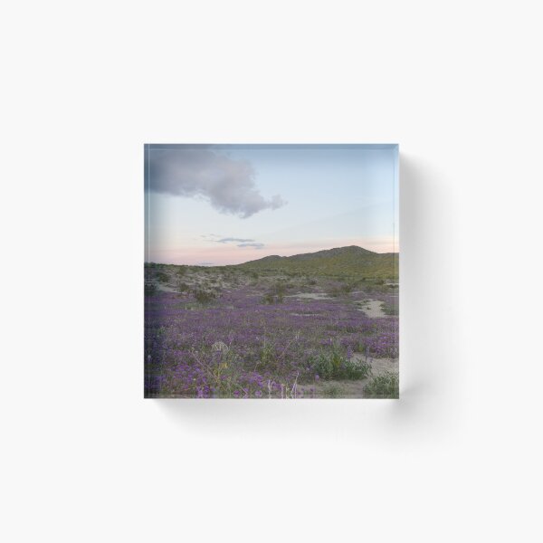 Item preview, Parque Estatal del Desierto Anza-Borrego, California designed and sold by Mike Kunes.