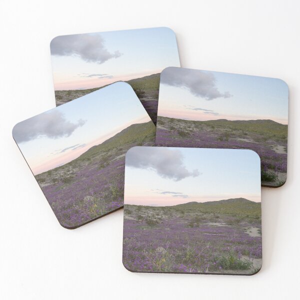 Item preview, Parque Estatal del Desierto Anza-Borrego, California designed and sold by Mike Kunes.