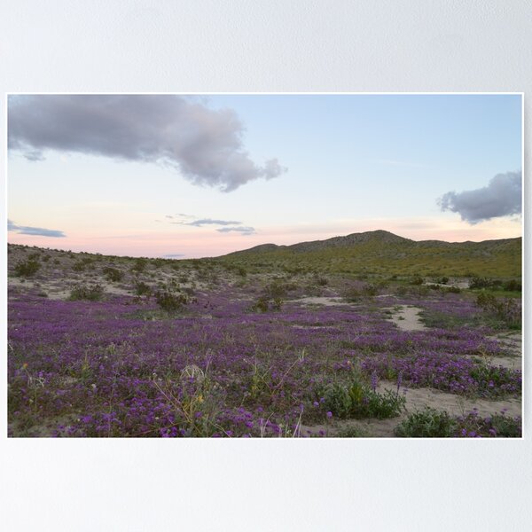 Item preview, Parque Estatal del Desierto Anza-Borrego, California designed and sold by Mike Kunes.