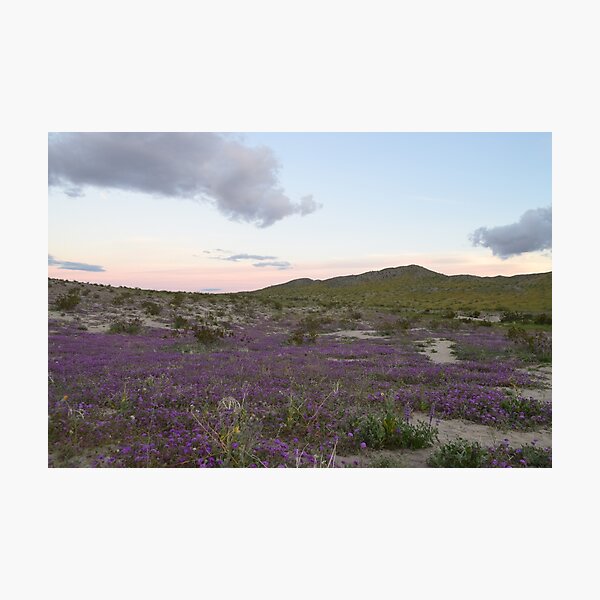 Item preview, Anza-Borrego Desert State Park, California designed and sold by Mike Kunes.