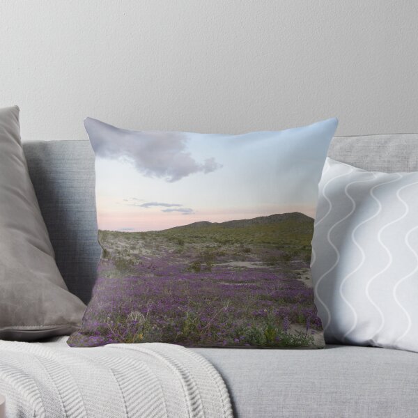 Item preview, Parque Estatal del Desierto Anza-Borrego, California designed and sold by Mike Kunes.