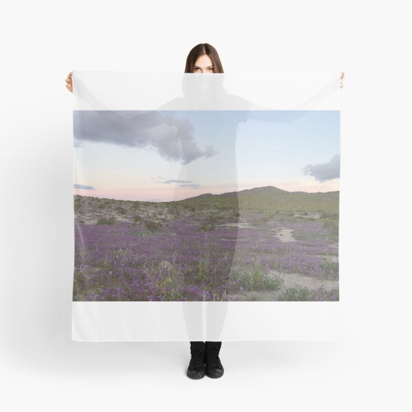 Item preview, Parque Estatal del Desierto Anza-Borrego, California designed and sold by Mike Kunes.