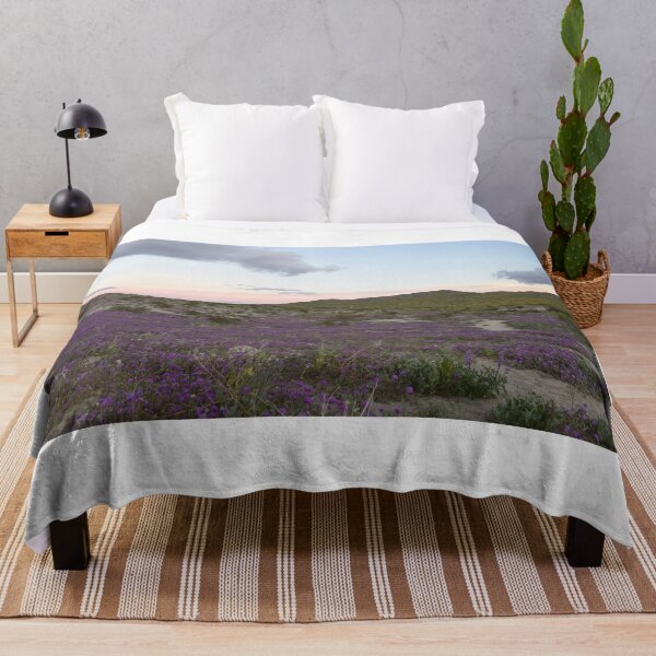 Item preview, Parque Estatal del Desierto Anza-Borrego, California designed and sold by Mike Kunes.