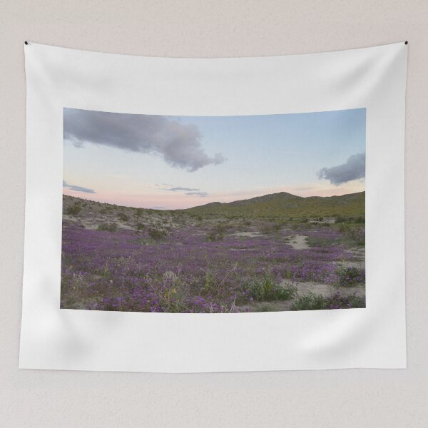 Item preview, Parque Estatal del Desierto Anza-Borrego, California designed and sold by Mike Kunes.