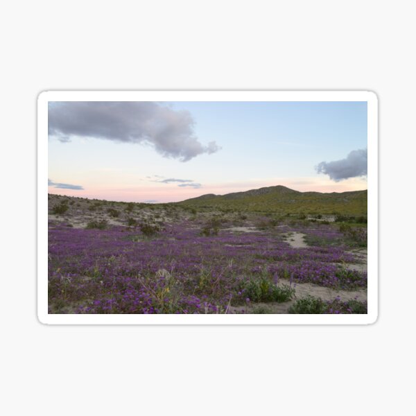 Item preview, Anza-Borrego Desert State Park, California designed and sold by Mike Kunes.