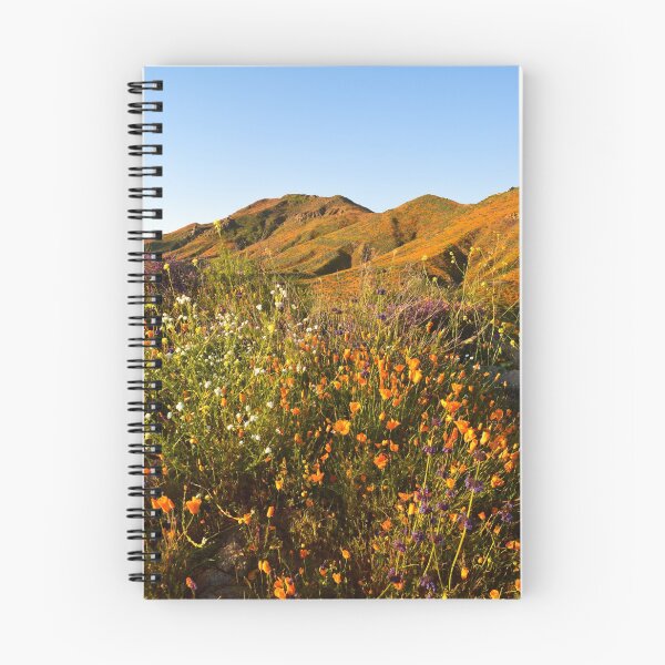 Item preview, Walker Canyon, Lake Elsinore, California designed and sold by Mike Kunes.