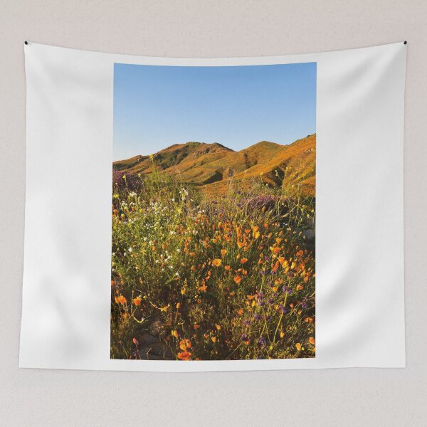 Item preview, Walker Canyon, Lake Elsinore, California designed and sold by Mike Kunes.