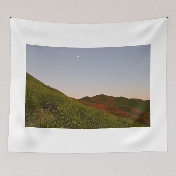 Item preview, Walker Canyon, Lake Elsinore, California designed and sold by Mike Kunes.