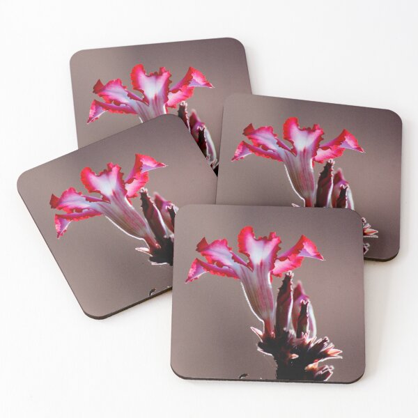 Item preview, IMPALA LILY – Adenium – multiflorum designed and sold by Magriet Meintjes.