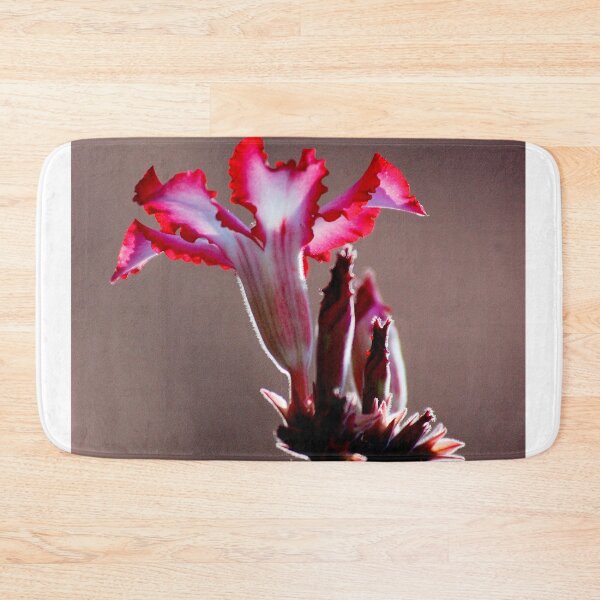Item preview, IMPALA LILY – Adenium – multiflorum designed and sold by Magriet Meintjes.
