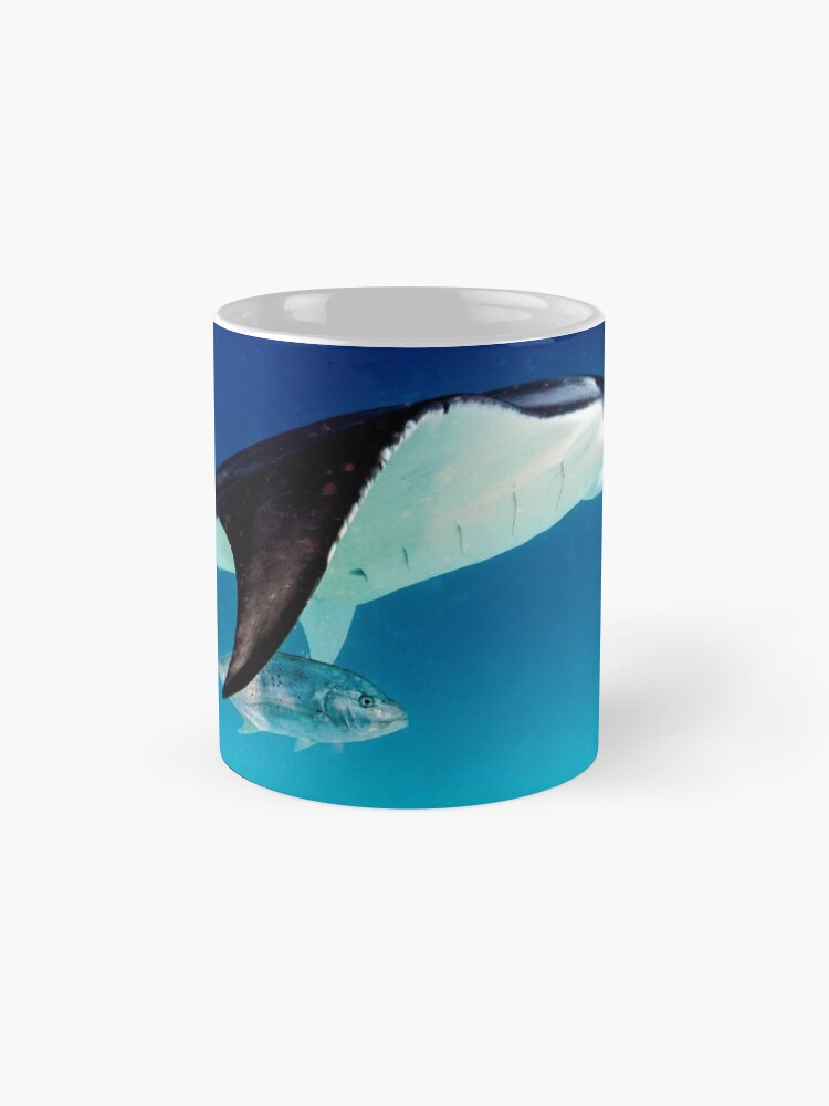 Alternate view of Manta companion Mug