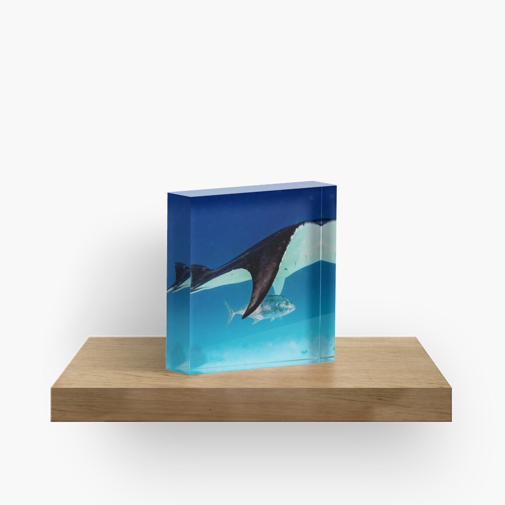 Manta companion Acrylic Block
