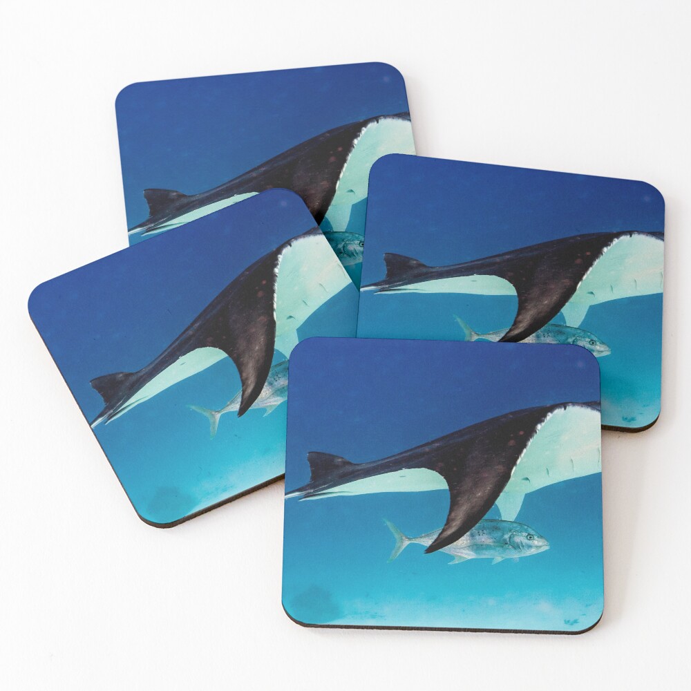 Manta companion Coasters (Set of 4)
