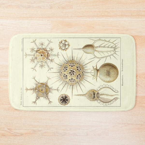 Item preview, Plate 01. A radiolarian – a type of amoeboid protozoan. designed and sold by Squirrox.
