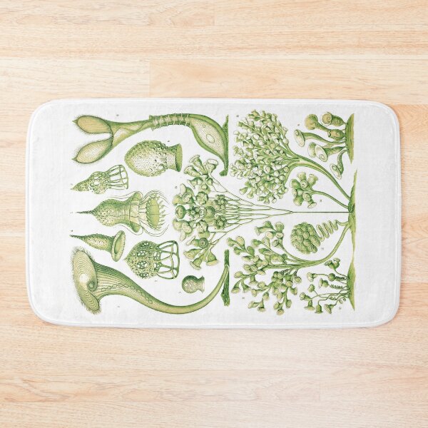 Item preview, Plate 03. Ciliata. Complex single-celled organisms. designed and sold by Squirrox.