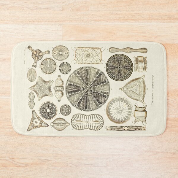 Item preview, Plate 04. Diatoms, microscopic marine creatures. designed and sold by Squirrox.