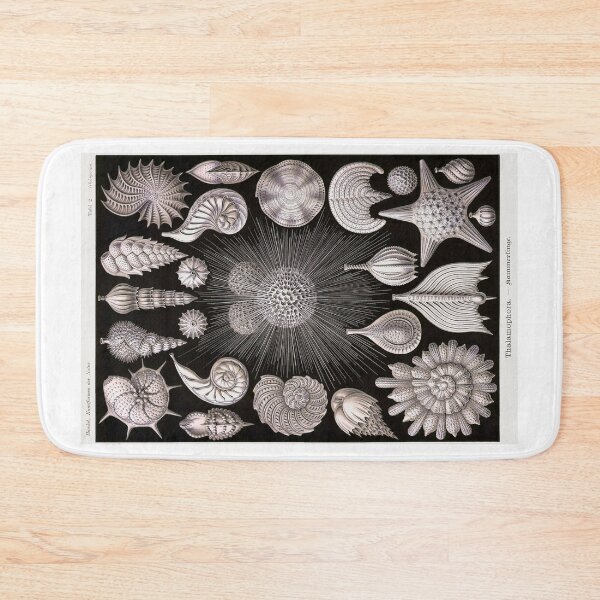 Item preview, Plate 02 Thalamophora. Amoeboid protozoans that typically produce a shell. designed and sold by Squirrox.