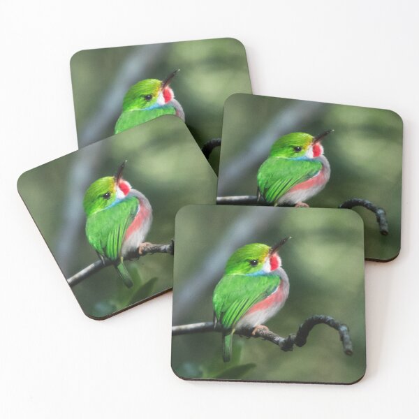 Item preview, Cuban Tody Bird designed and sold by opticpixil.