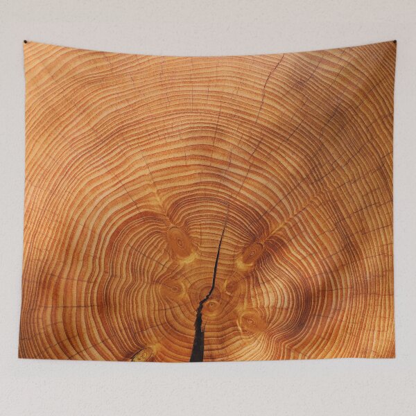 Tapestry