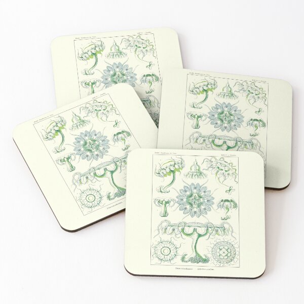 Item preview, Plate 18. Discomedusae, group of disc-shaped jellyfish. designed and sold by Squirrox.