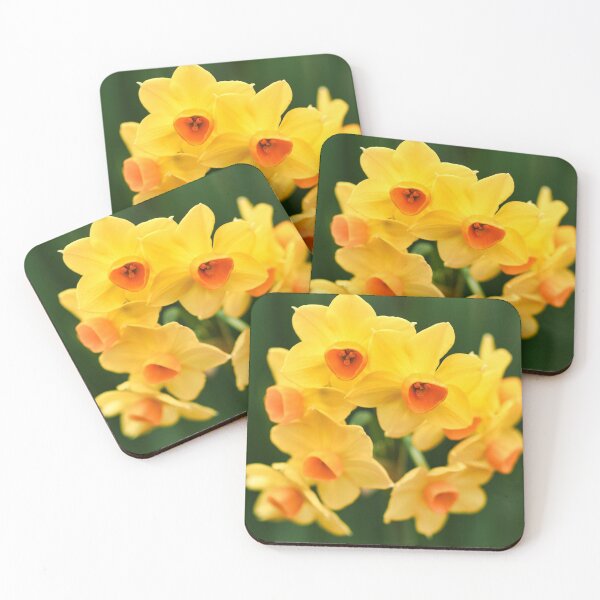 Item preview, Daffodil Delight designed and sold by Carolyn's Captures - Original Photohgraphy.