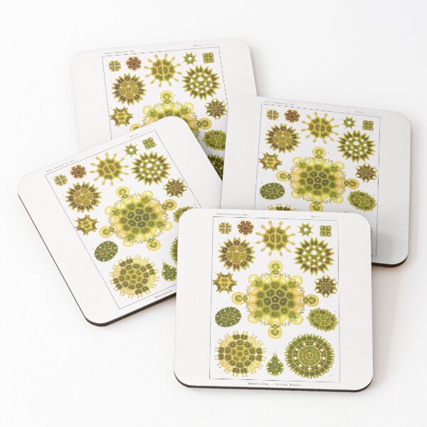 Item preview, Plate 34. Melethallia, a fresh-water algae. designed and sold by Squirrox.