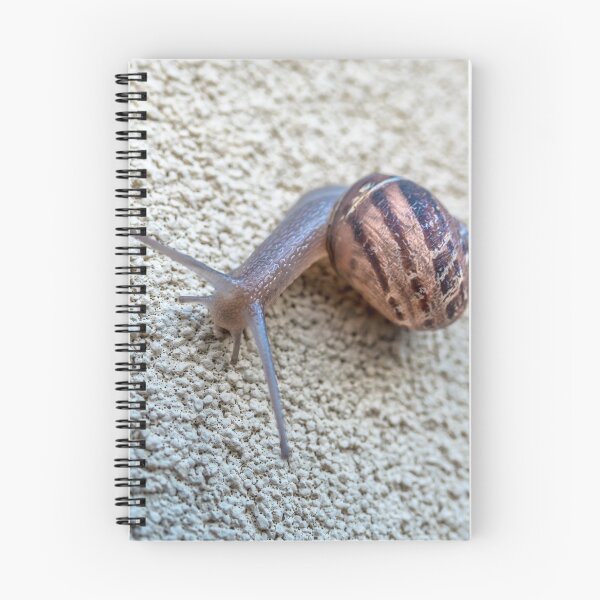 Item preview, Closeup snail on the wall portrait designed and sold by yurix.